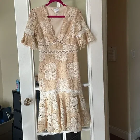 Saylor floral v neck lace maggy dress sheath flared peplum skirt size medium EUC - Picture 3 of 14